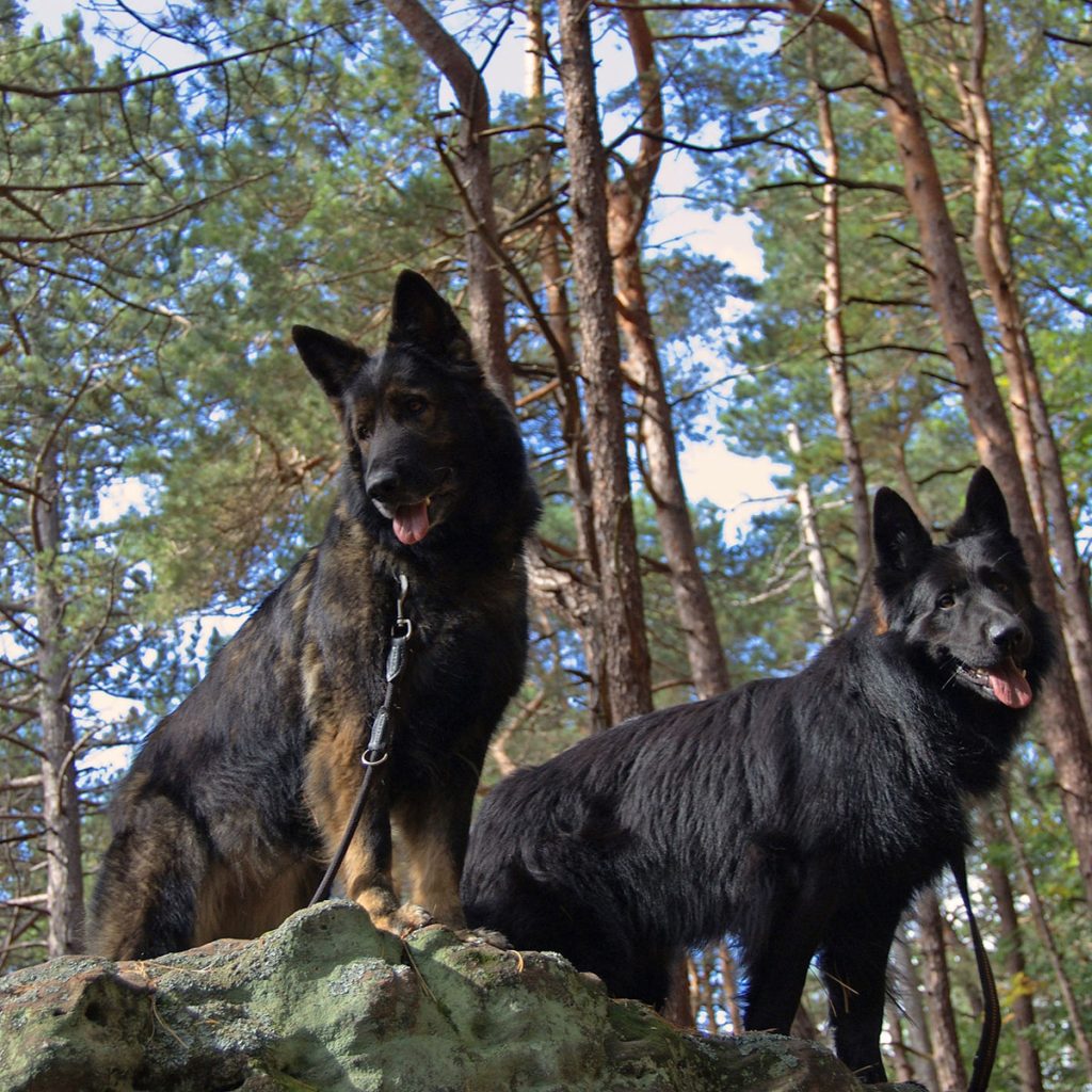 two shepherds standing on a rock looking down. 