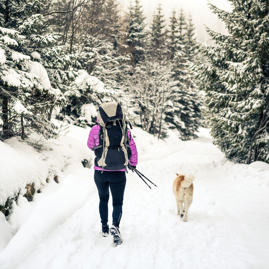 Lady walking with her dog in the snowy trail.